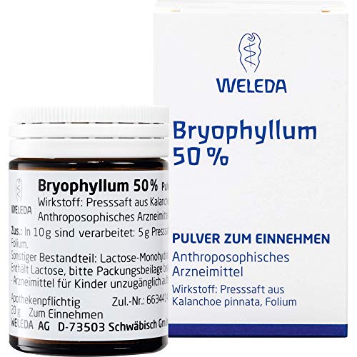 WELEDA Bryophyllum 50% Pulver 50 g Pulver
