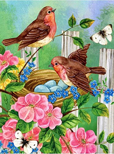 Malen nach Zahlen Diamond Painting Farbe Vogel 5D Diamant-Malerei Kit Dekoration für Home Wall Décor 40 * 50CM Cover