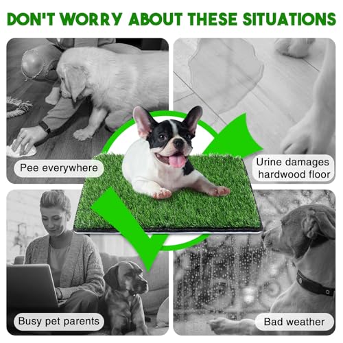Annexfun ANF-1003 Dog Grass Mat With Pee Pad 20×25", Small Dog Litter Box Indoor Artificial Turf Grass Porch Waterproof Patio Potty Tray thumb #1