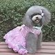 Hundekleid Luxus Welpenrock Hundekleidung Prinzessin Kleider Hochzeitsabendkleid Tutu Rock Rose Blume Bowknot Kleid für Kleine Hundemädchen Pink M