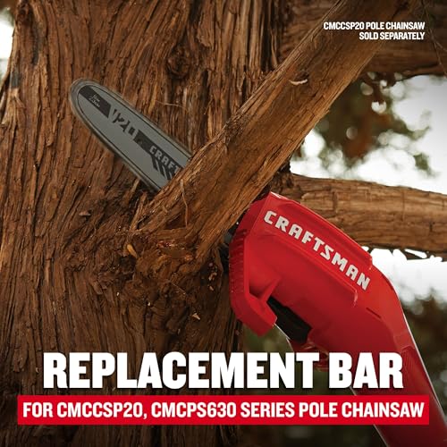 Guide chaîne Craftsman 8 pouces CMZCSB8 haute précision pour élagage