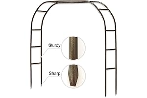 The Arbor: A Verdant Gateway to Enchanting Spaces