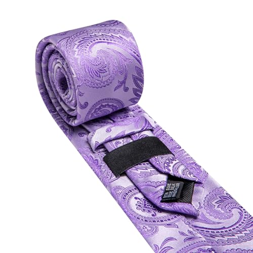Image of Barry.Wang Paisley Tie for Men Silk Woven Necktie and Tie Clip Set Wedding Party Business Formal