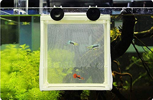 Image of COMOK Fish Hatchery Breeder Box Aquarium Separation Net Nylon Incubator Mesh Fish Breeding Tanks Isolation Box White Square 20PCS