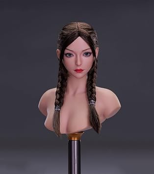 1/6 Scale Female Head Sculpt,Asian Beauty Girl Fei Planted Hair Head Carved Carving with Movable Eyes for 12inch Action Figure Body Brown Hair with Braids