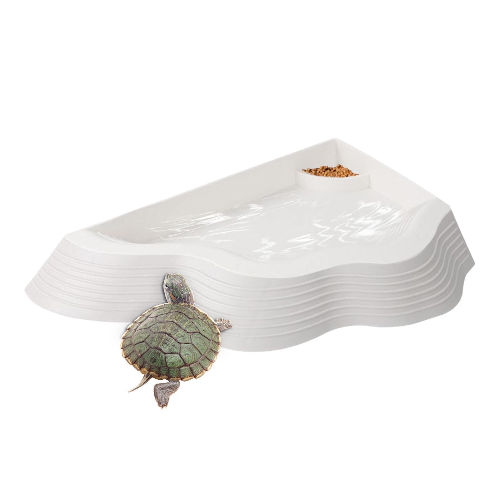 Bañera para reptiles ideal para el baño diario de dragón barbudo y serpientes