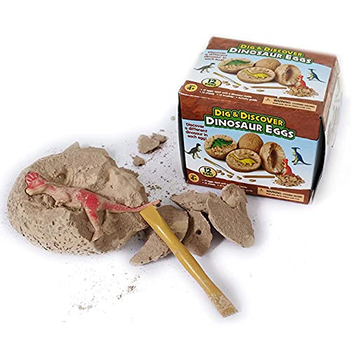 Dinosaurier Spielzeug Set Dinosaurier Ausgrabungsspielzeug Enthält 12 Dino Fossile Eier Archäologie Wissenschaft STEM… – Bild 4