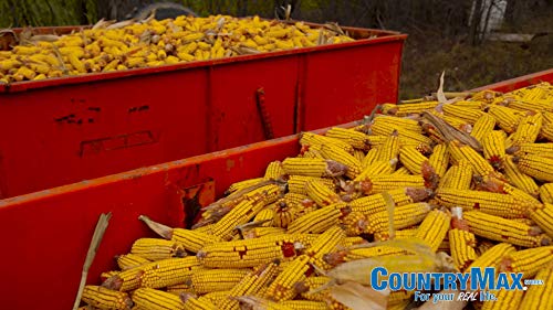 CountryMax Bulk Corn Cobs Locally Grown for Wildlife Feeding Squirrels, Deer, Chipmunks (25 Pounds)