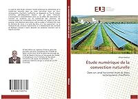 A0/00tude Numa(c)Rique de La Convection Naturelle 3841743374 Book Cover