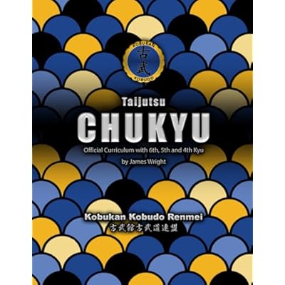 Kobukan Taijutsu Chukyu