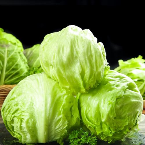 PflücksalatSamen, gemüsepflanzen SalatSamen, wintergemüse gemüsesamen alte sorten pflücksalat 400pcs