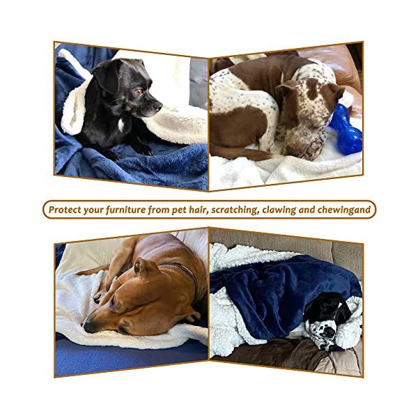 (Blue) – Large Dog Blanket,Super Soft Warm Sherpa Fleece Plush Dog Blankets and Throws for Large Medium Dogs Puppy Doggy Pet Cats,150cm x 130cm (Blue) – Large Dog Blanket,Super Soft Warm Sherpa Fleece Plush Dog Blankets and Throws for Large Medium Dogs Puppy Doggy Pet Cats,150cm x 130cm