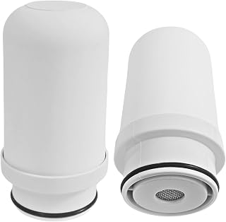 SC Filter - Pack de 2 Cartuchos de Recambio - Carbón Activado y Cerámica de Diatomeas - Elimina el Cloro, los Metales Pesados, los Microorganismos y el Mal Sabor