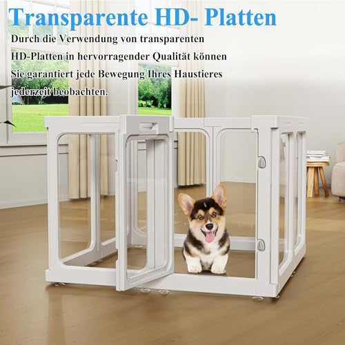 Enclos chiot transparent facile à nettoyer en acrylique modulable pour appartement