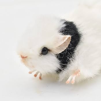 Amazon.co.jp: ハンサ(HANSA) BH8139 HANSA パンダマウス : おもちゃ