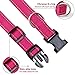 Reflective Dog Collar with Buckle Adjustable Safety Nylon Collars for Small Medium Large Dogs, Pink S