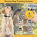 E-Collar – Educator ET-300-1/2 Mile Waterproof Remote Dog Training Collar Includes Premium Finger Clicker Trainer, 100 Programmable Levels + Vibration + Light + Sound