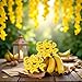 40Pcs Yellow Mini Fake Banana Fruit, Foam Vegetables Fruit as Home Party Ornament Craft Photography Props Gift, Simulation Fruit Props for Photography Blenders and Sponges, Artificial Fruits (3-6CM)