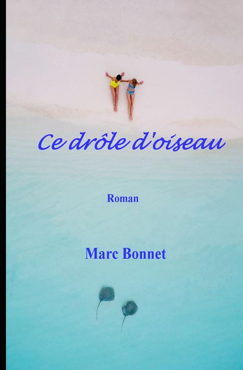 Ce drôle d'oiseau: Roman