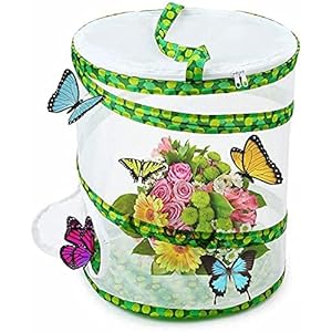 HaavPoois Insect en Vlinder Habitat Cage, 2021 Nieuwe 14 Inch Opvouwbare Insect Mesh Kooi Pop Up Ontwerp Mesh Doek…