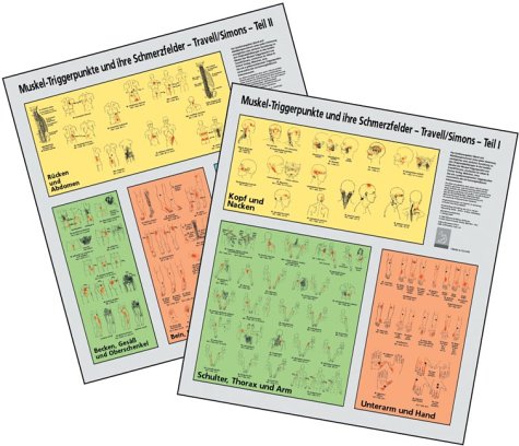 Muskel-Triggerpunkte und ihre Schmerzfelder 1/2. Obere Extremität / Untere Extremität. Wandtafel: