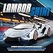 MIEBELY Lamborghini Remote Control Car, 1:16 Scale Lambo Toy Car 7.4V 500mAh Officially Licensed 12Km/h Rc Cars with Led Light 2.4Ghz Model Car for Adults Boys Girls Birthday Ideas Gift (Light Blue)