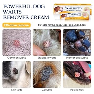   Dog-Wart-Remover-Dog-Wart-Removal-Treatment-Skin-Tag-Remover-Cream-Rapidly-Eliminates-Warts-for-Dogs-Naturally-Fall-Off-No-Harm-Pain-Free