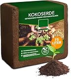 Floordirekt Coco pressée - Terre pour plantes en fibre de coco - Substrat pour germination - Pour semis - Terre pour plantes - Substrat extensible