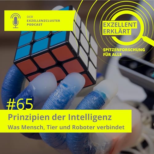 Prinzipien der Intelligenz &ndash; Was Mensch, Tier und Roboter verbindet
