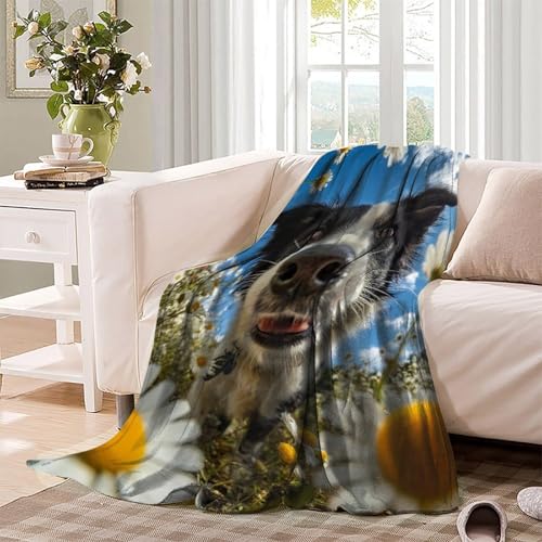 Couverture Border Collie en flanelle 100x130 cm pour lit et canapé