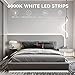 GUOTONG 50ft Waterproof LED Strip Lights, 6000K Daylight White IP44 Tape Light, 15M 12V Rope Light Strong 3M Adhesive, for Home,Kitchen, Patio, Balcony, Party, Wedding, Indoor and Outdoor Decor