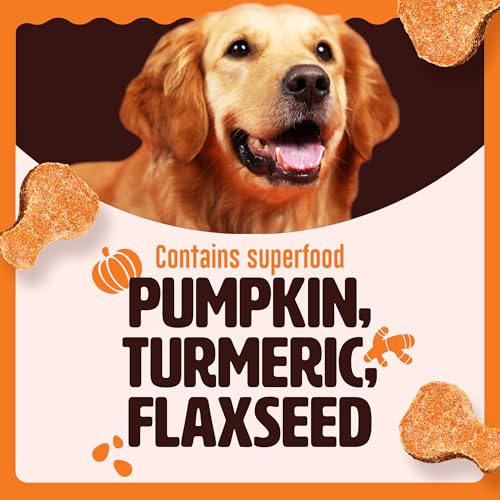Image of Kennel Kitchen Soft Baked Calcium Chicken Nugget Treats for Dogs, 500g (Pack of 1) | Limited Ingredients | High in Calcium & Protein & Low in Fat | Easy to Chew for Stronger Bones and Teeth