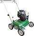 Produktbild M Vertikutierer Grün V40Honda Fm Fva-F3F