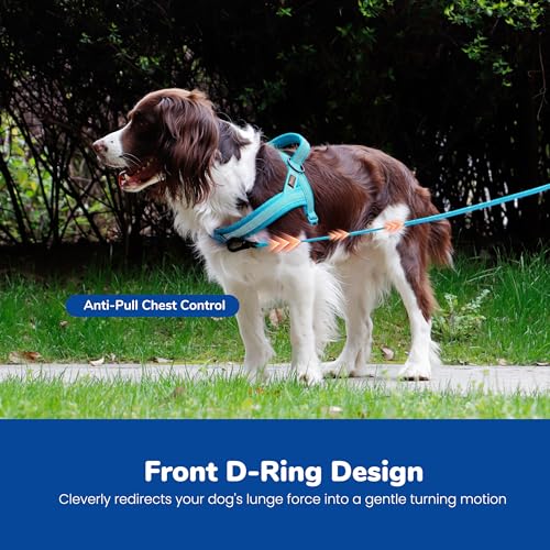 Image of Didog No Pull Dog Harness for Small Dogs, Breathable Mesh Padded, Blue, S