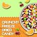 Premium Freeze Dried Candy 1 Pound (16oz) Halloween Candy Super Value Freezed Dried Candies, Resealable Bag for Freshness, Freeze Dried Crunchy Candies - 1 Lb, Movie Snacks
