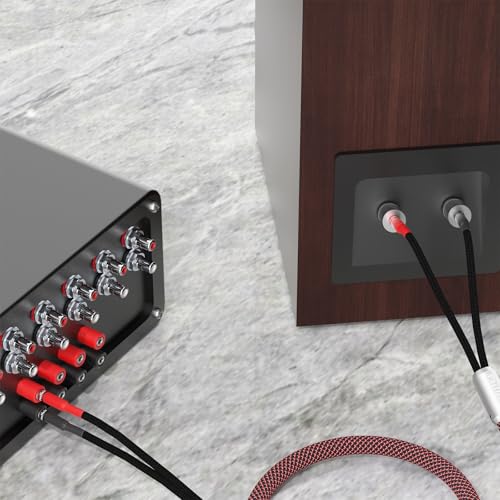 Câble de haut-parleur HiFi banane blindé anti-interférence 2m
