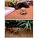 Hamiledyi Reptile Carpet Natural Coconut Fiber Tortoise Carpet Mats for Pet Terrarium Liner Reptile Supplies for Lizard Snake Chameleon Turtle Bedding Bunny Rabbit Mat (2 x Sheets)