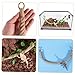 Yardwe Reptile Climbing Rope Swing Durable Jute Hammock for Snakes and Lizards Easy to Hang for Interactive Play Versatile Pet Tank Accessory