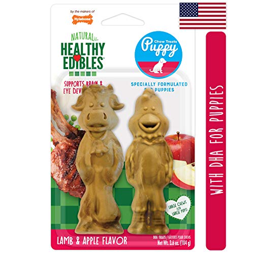 Top 10 Best Chew Toys For Puppies Nz in June 2023