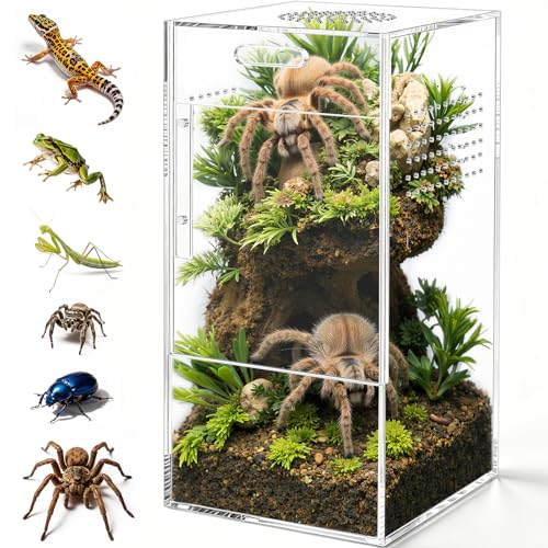 Pre-Assembled Jumping Spider Enclosure, Acrylic Terrarium with Magnetic Door & All-Side Ventilation, Habitat for Spiderling, Mantis, Tarantula, Snail (5×5×10)