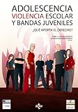  Adolescencia, violencia escolar y bandas juveniles: ¿Qué aporta el derecho? (Derecho - Estado Y Sociedad)