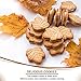 Turkey Hill Sugarbush 100% Pure Canadian Premium Maple Syrup Cream Filled Cookies - All-Natural Maple Leaf Shape Delicious Cookies, (2 Pack, Cream Cookies)