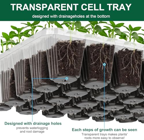 LATERN 4Pcs Plant Seedling Trays - Image 2