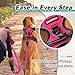 BARKBAY No Pull Pet Harness Dog Harness Adjustable Outdoor Pet Vest 3M Reflective Oxford Material Vest for pink Dogs Easy Control for Small Medium Large Dogs (XL)