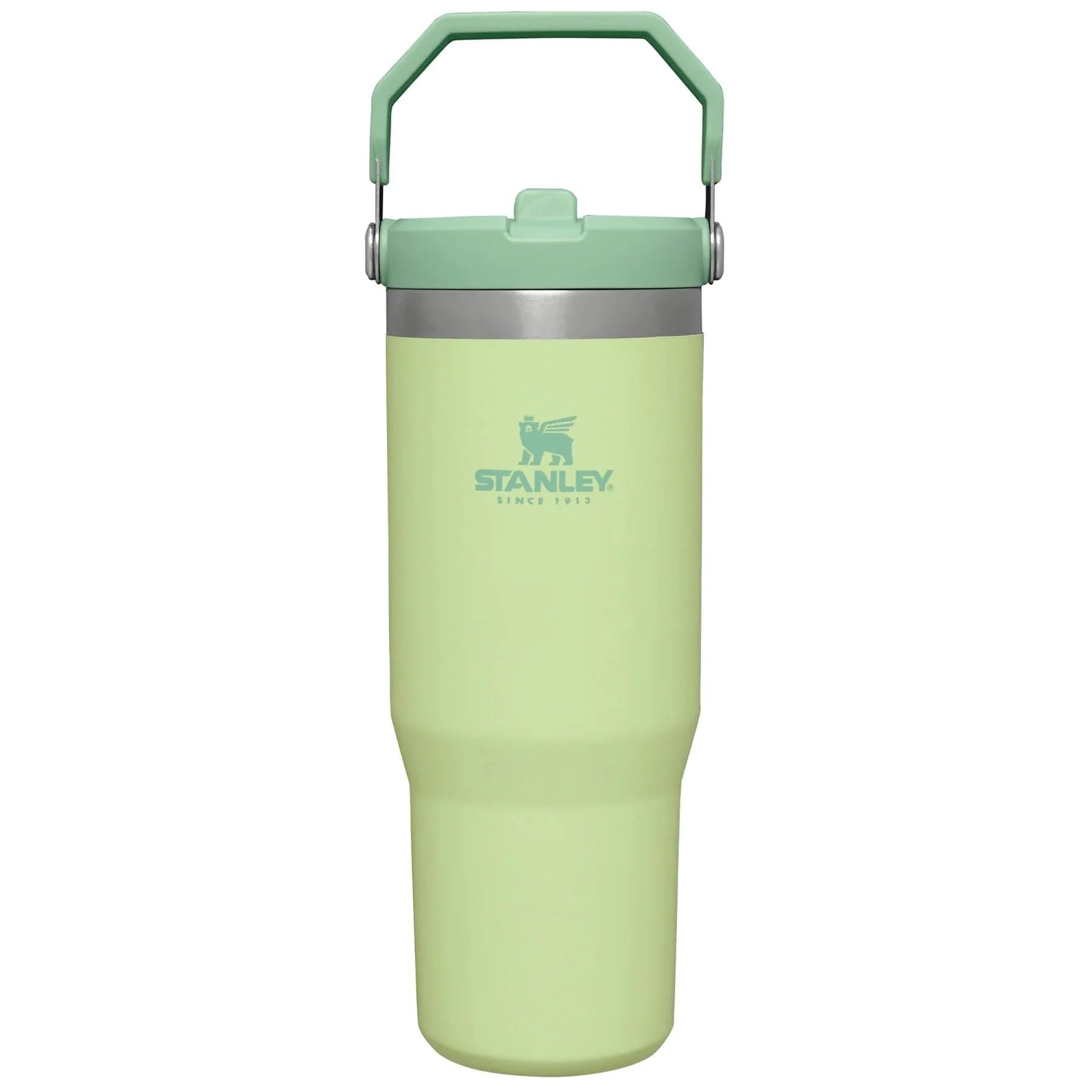 Stanley IceFlow Stainless Steel Tumbler with Straw - Vacuum Insulated Water Bottle for Home, Office or Car - Reusable Cup with Straw Leakproof Flip - Cold for 12 Hours or Iced for 2 Days Citron 30oz