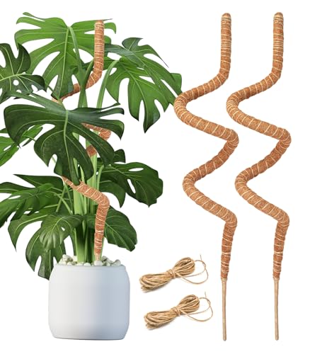 Haoledy 120cm Tutores para Plantas, Tutor de Musgo para Monstera con 2 Trozos de Cuerda de Yute de 2m, Alma de Aluminio de 7mm Tutores para Monstera Fibra de Coco para Plantas (2 Piezas)