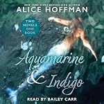 Cover of Aquamarine & Indigo (Two Novels, One Book)