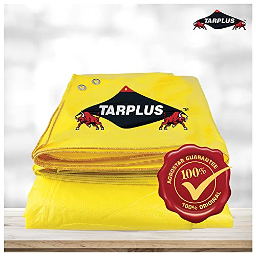 Image of Sheet 40 * 60 (Tadpatri) Yellow Lemon