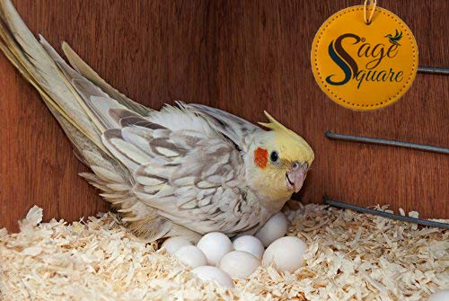 150grm-Natural-Soft-Wood-Shaving-Bedding-Cum-Nesting-Material-for-All-Birds