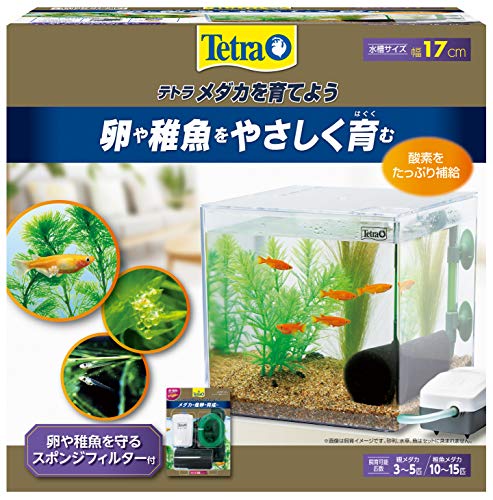 Tetra 水槽 メダカを育てよう PL-17KB の商品画像 1